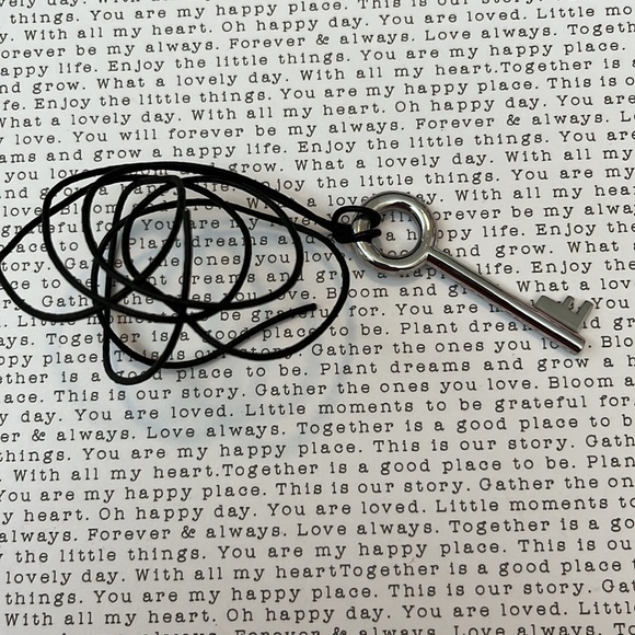 FIBO STEEL KEY with leather necklace - Picture 2 of 3